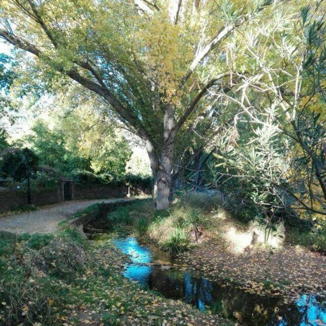 Casa Rural El Riandero Linares de la Sierra Eksteriør billede