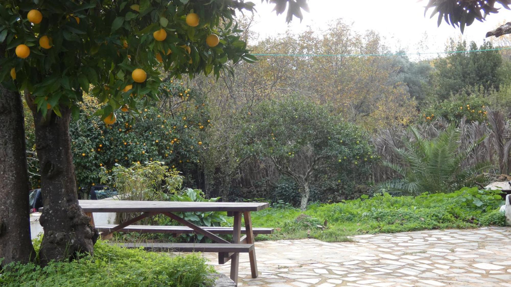 Casa Rural El Riandero Linares de la Sierra Eksteriør billede