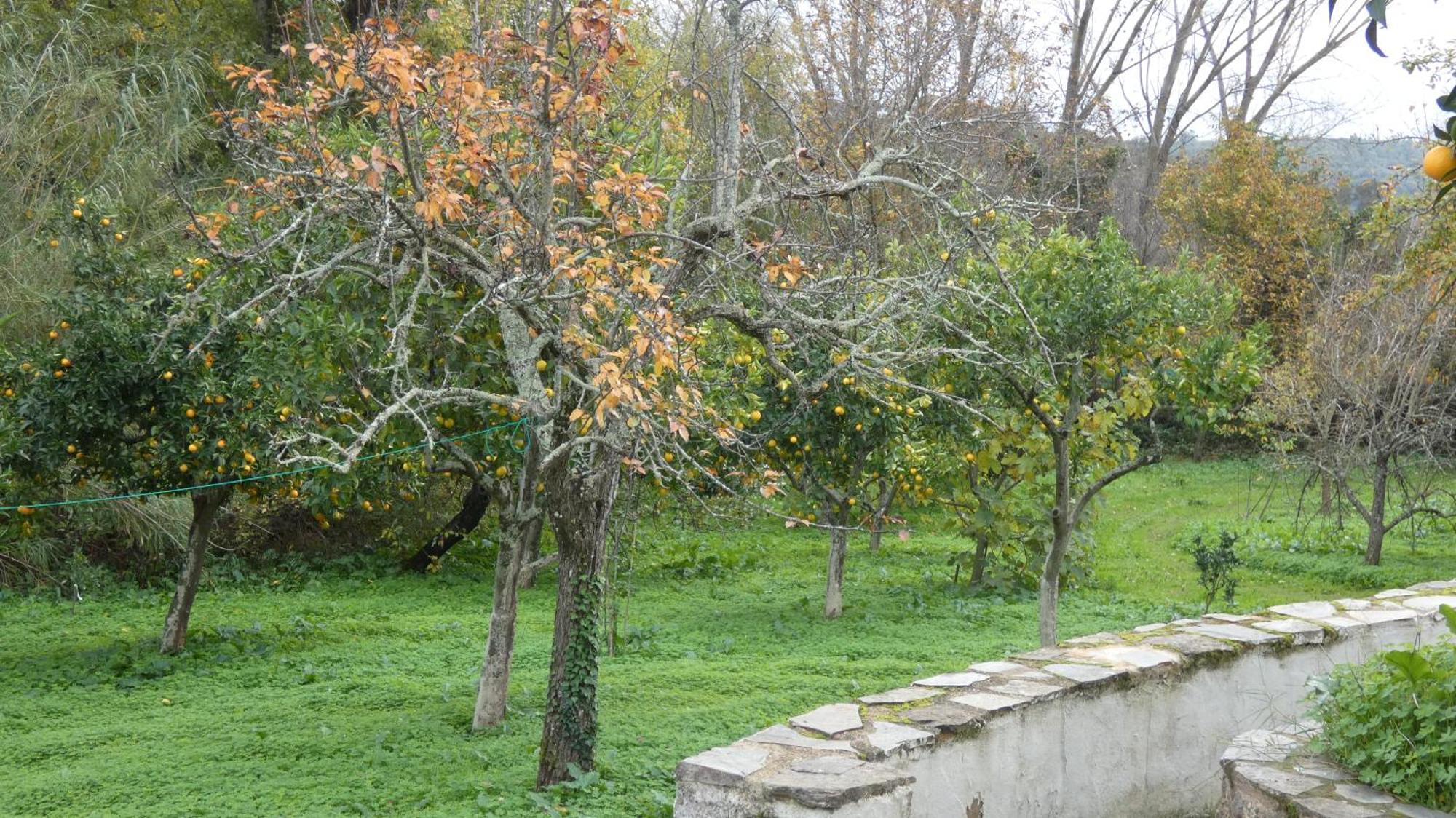 Casa Rural El Riandero Linares de la Sierra Eksteriør billede