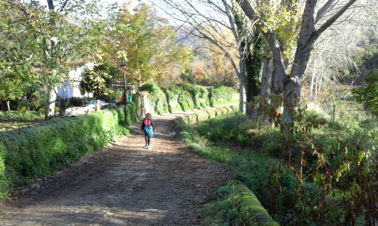 Casa Rural El Riandero Linares de la Sierra Eksteriør billede